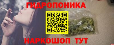 mdpv Краснознаменск