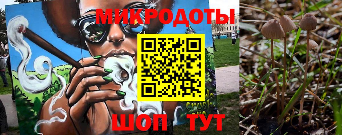 Галлюциногенные грибы Magic Shrooms Владивосток